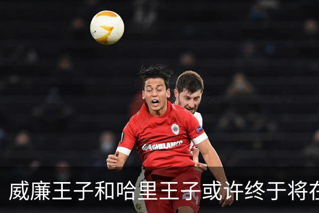 威廉王子和哈里王子或许终于将在这次“意义重大”的活动中重聚并“同台亮相”